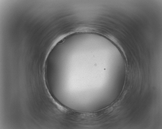 X0000059831437200511041734