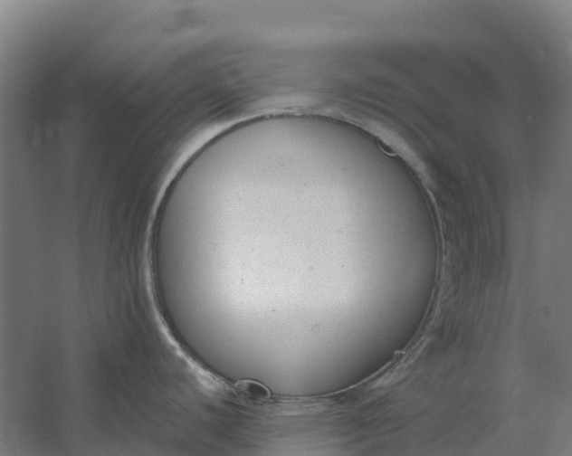 X0000059831440200511041734