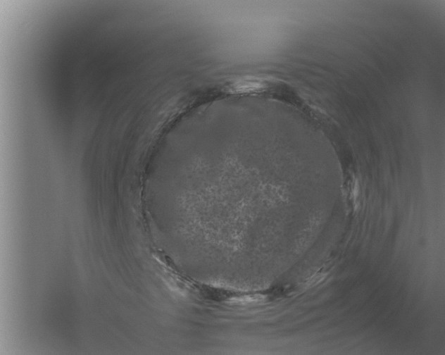 X0000059831441200511041733