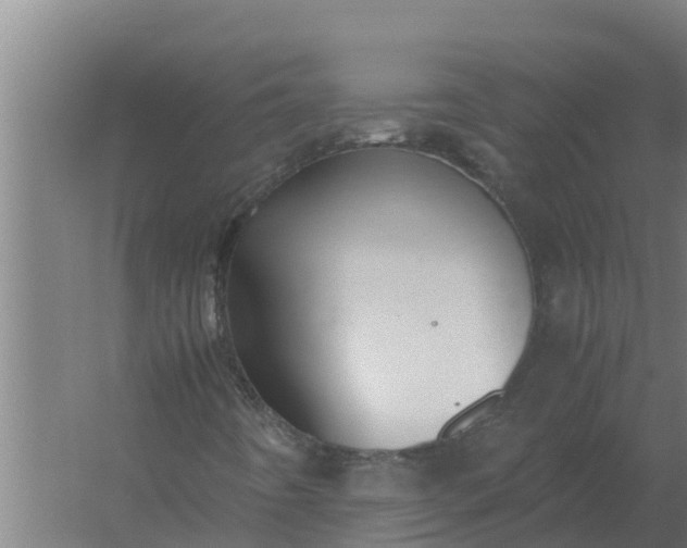 X0000059831442200511041733