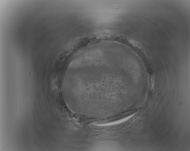 X0000059831445200511041733