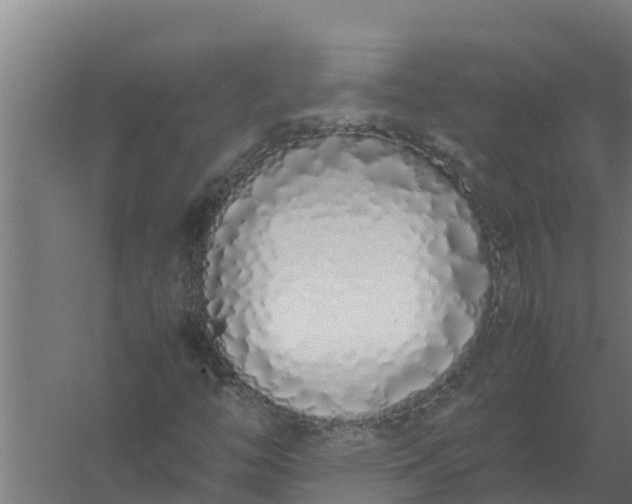 X0000059831446200511041733