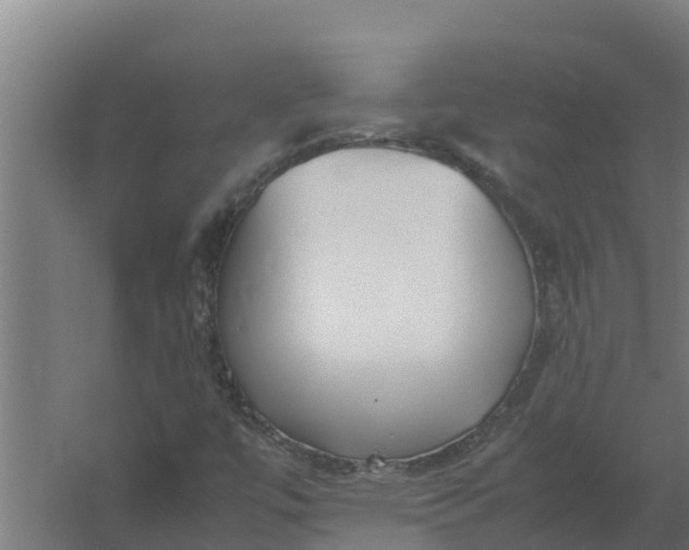 X0000059831447200511041733