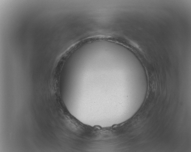 X0000059831448200511041733