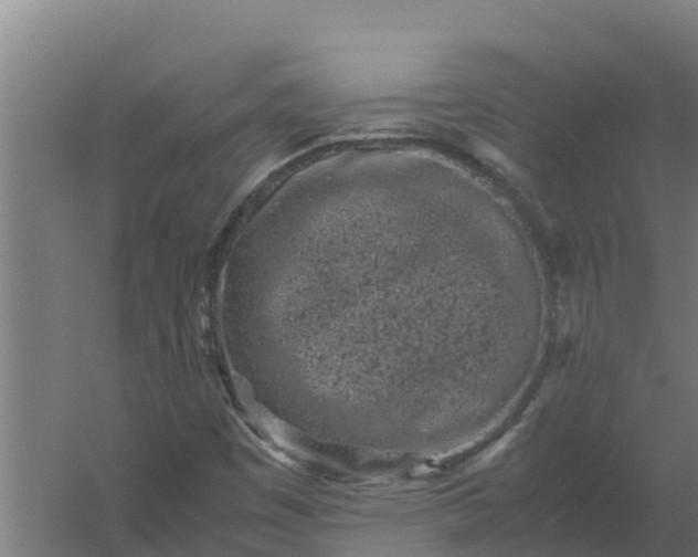 X0000059831449200511041733