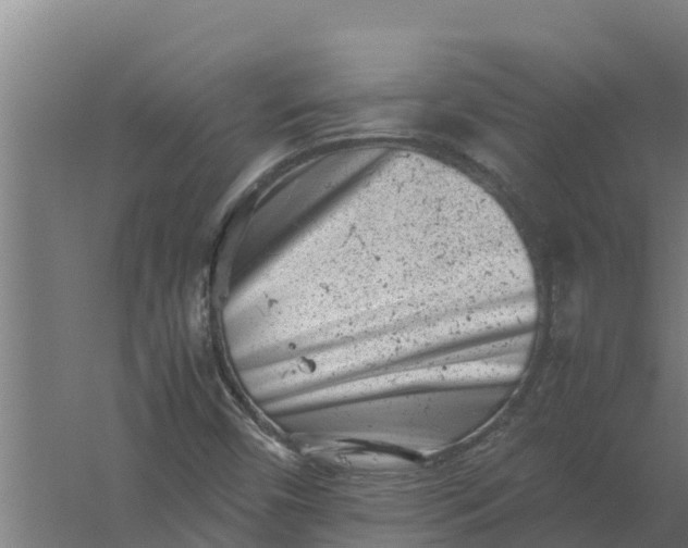 X0000059831450200511041733