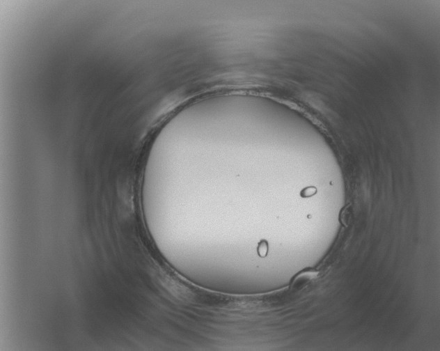 X0000059831451200511041733