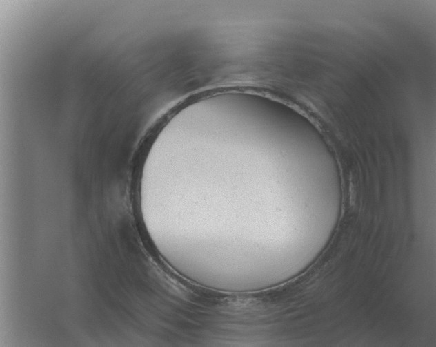 X0000059831452200511041733