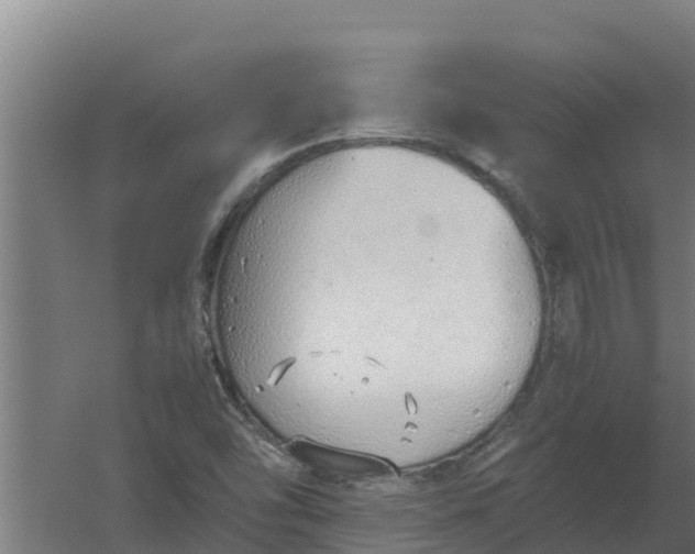 X0000059831454200511041733