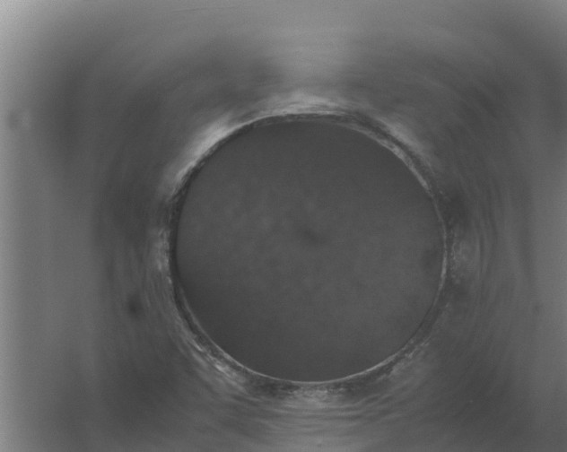 X0000059831455200511041733