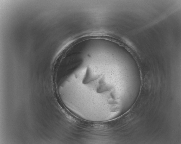 X0000059831456200511041733