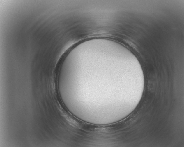 X0000059831458200511041733