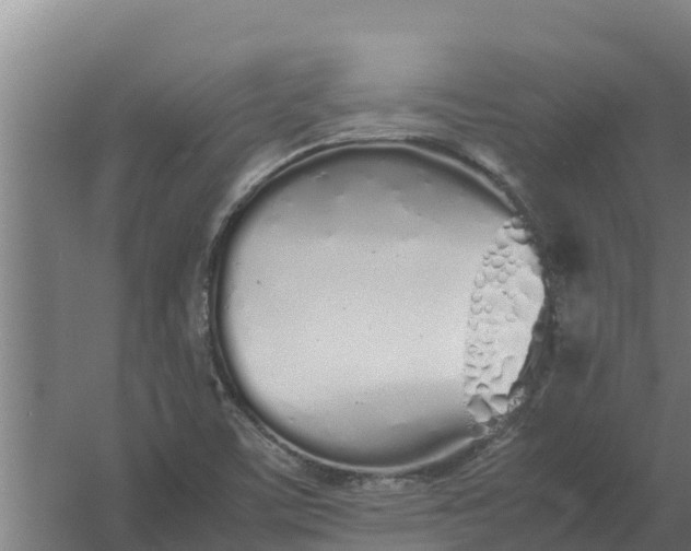 X0000059831459200511041733