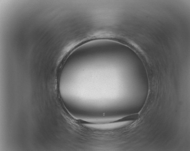 X0000059831461200511041733