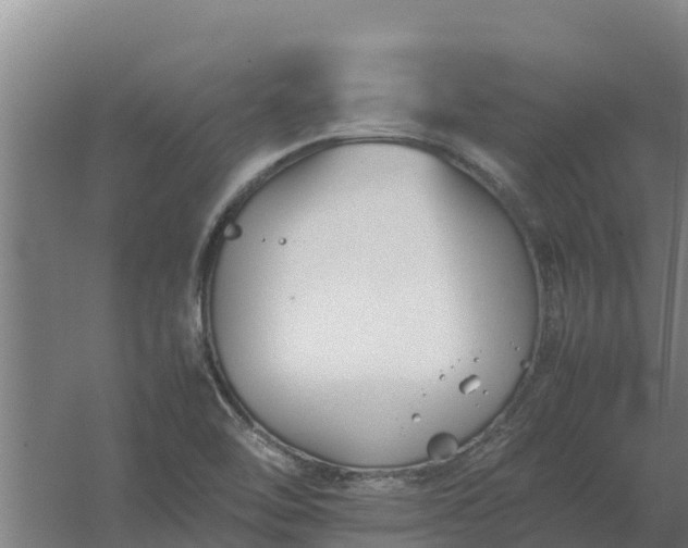 X0000059831462200511041733