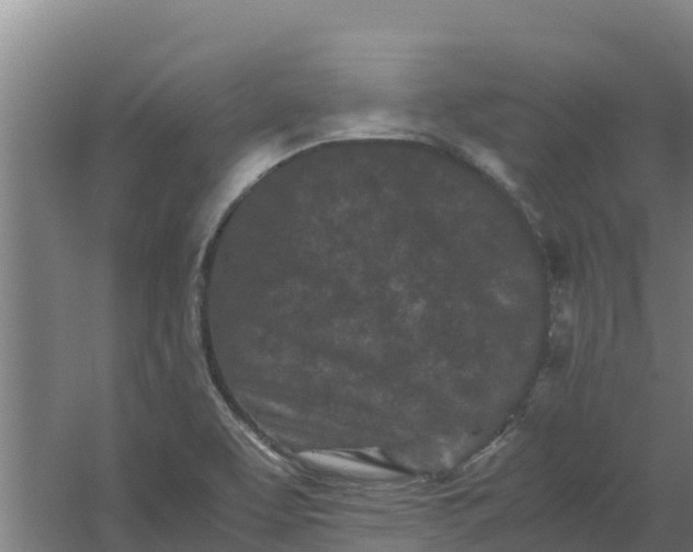 X0000059831463200511041733