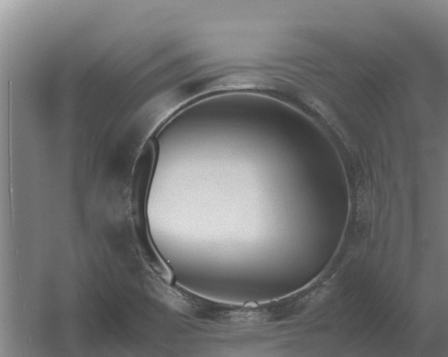 X0000059831465200511041733