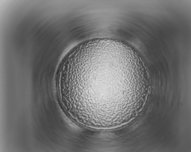 X0000059831466200511041733