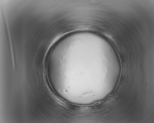 X0000059831467200511041733