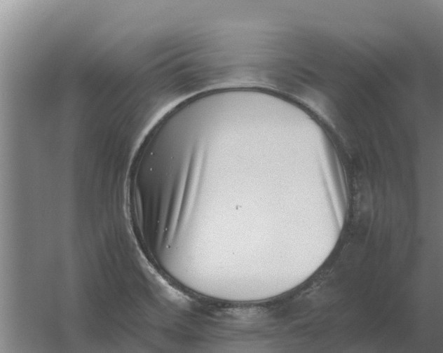 X0000059831468200511041733