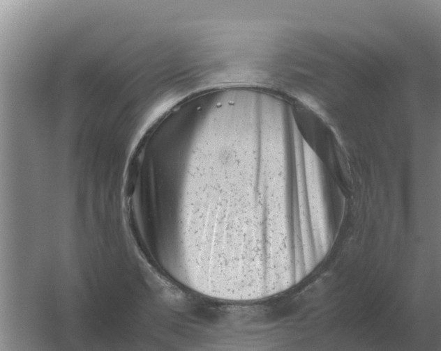 X0000059831469200511041733