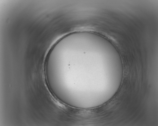 X0000059831470200511041733