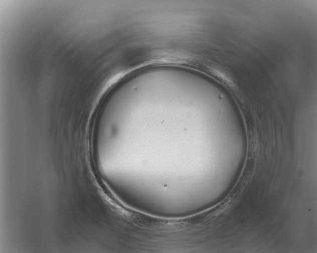 X0000059831471200511041733