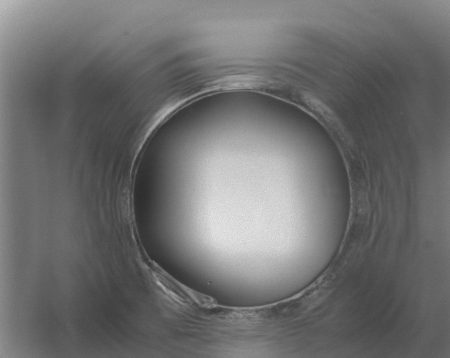 X0000059831473200511041733