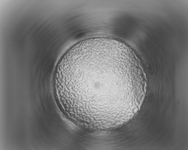 X0000059831474200511041733