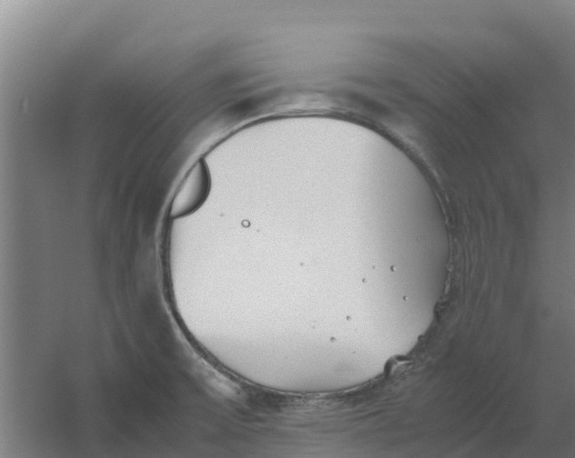 X0000059831475200511041733