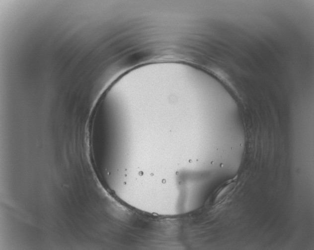 X0000059831476200511041733