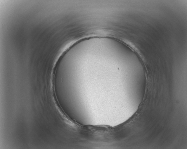 X0000059831477200511041733