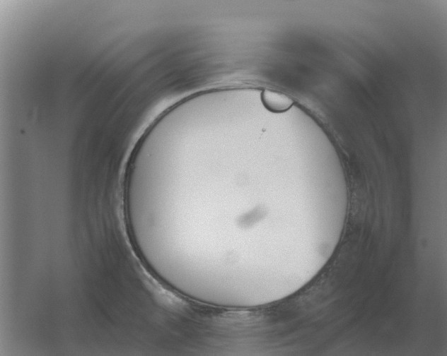 X0000059831478200511041733