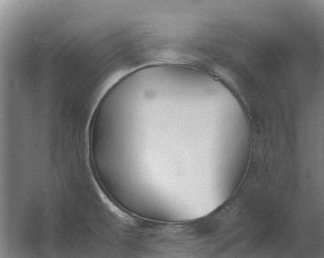 X0000059831479200511041733