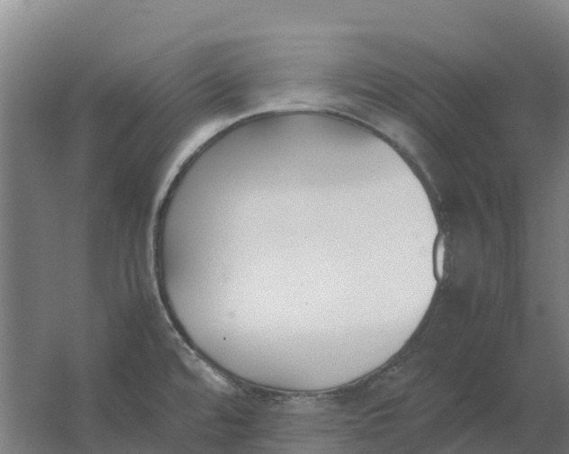 X0000059831480200511041733