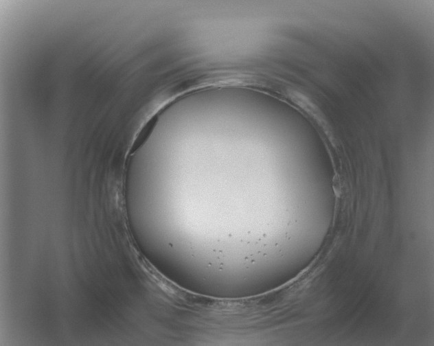 X0000059831481200511041733