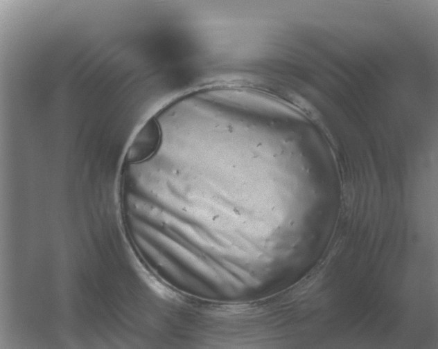 X0000059831482200511041733