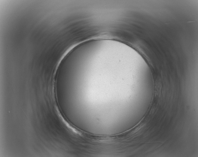 X0000059831484200511041733