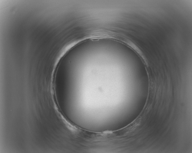 X0000059831485200511041733