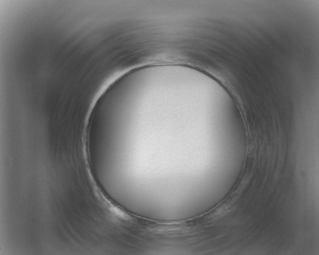 X0000059831486200511041733