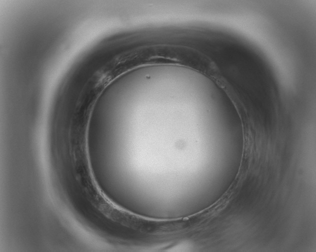 X0000059831487200511041733