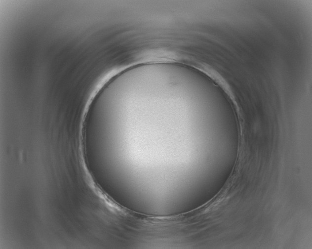 X0000059831488200511041733