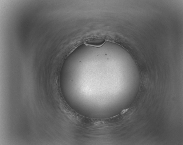 X0000059831489200511041732