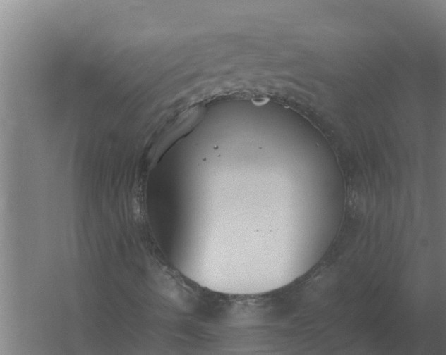 X0000059831490200511041732