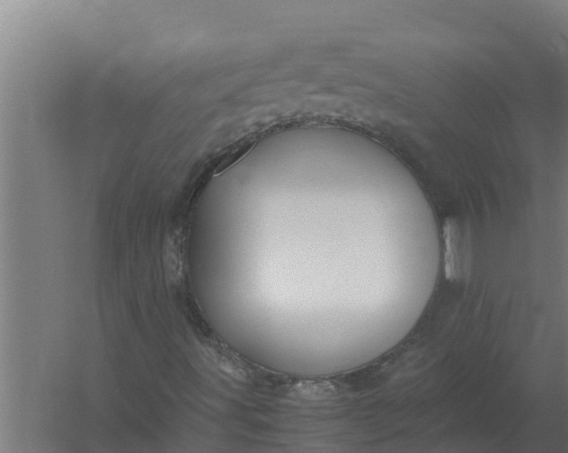 X0000059831491200511041732