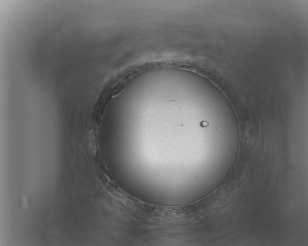 X0000059831493200511041732