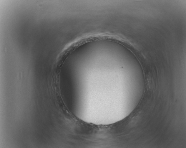 X0000059831494200511041732