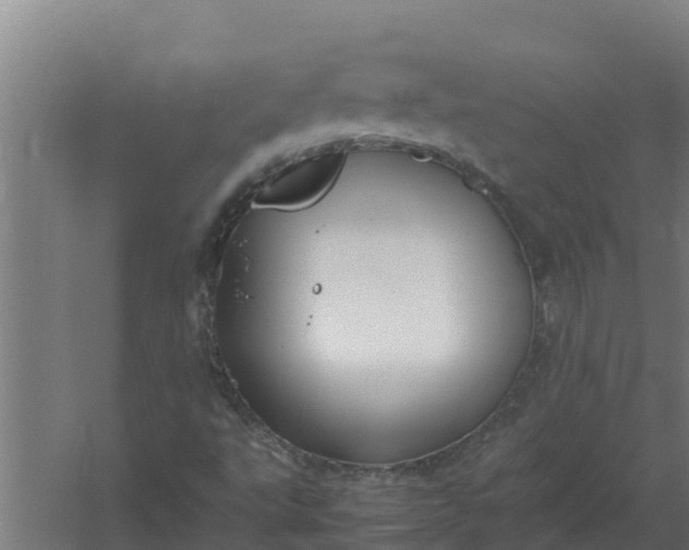 X0000059831495200511041732