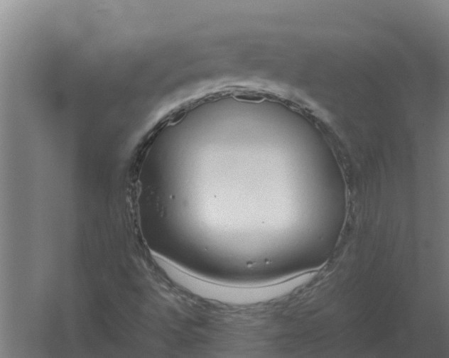 X0000059831496200511041732