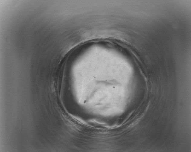 X0000059831497200511041732